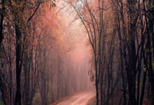 [德甲]门将犯规被判点 帕拉西奥斯点球扳回一城.