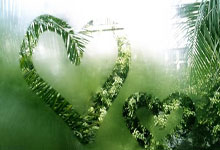 KAIYUAN：合理利用规则！勇士被切球后丢球权 科尔迅速挑战裁判补吹鹈鹕犯规.