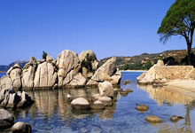 G联赛季后赛球队出炉：毒蛇&勇士等晋级 卫冕冠军&南湾湖人等淘汰.